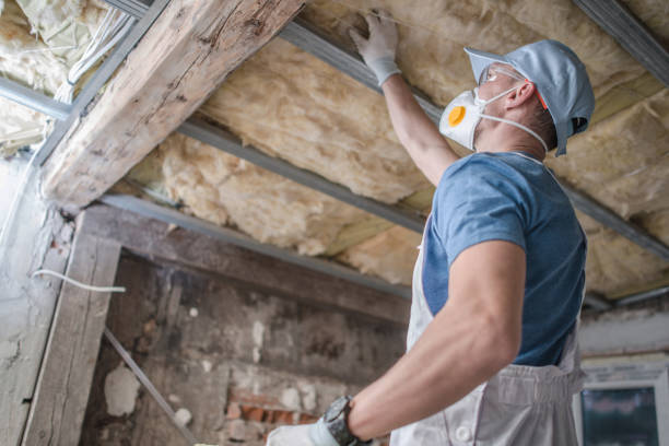 Best Fiberglass Insulation in Brooklet, GA