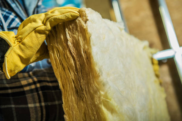 Best Specialized Insulation Services in Brooklet, GA